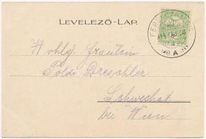 1914 Ferenchalom, Franzfeld, Kacarevo; 100 jährige Feier und Festausschuss, Hochzeitszug / 100 éves ...