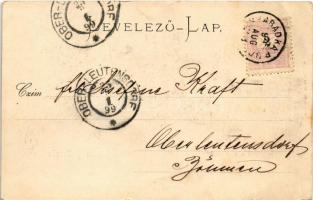 1899 Palics, Palic (Szabadka, Subotica); erdő részlet. Wilheim Samu kiadása / forest, lake (EK)