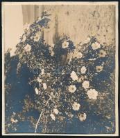 1929 Kinszki Imre (1901-1945) budapesti fotóművész hagyatékából, a szerző által datált vintage fotó (Újlakihegy, ez a szerző 221. felvétele), 6,3x7,2 cm