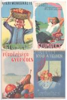 10 db RÉGI magyar gyümölcsöt reklámozó egészségügyi propaganda lap, C-vitamin táblázat a hátoldalon....