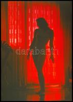 cca 1970 Czakó László (?-?) pécsi fotóművész hagyatékából 13 db vintage DIAPOZITÍV aktfelvétel, 36x2...