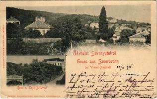 1898 Savanyúkút, Bad Sauerbrunn; Hotel u. Café Bellevue / Bellevue szálloda és kávéház / hotel and café (EB)