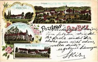 1898 Donja Stubica, Stubicke toplice, Grad Oroslavje / fürdő, kastély, vár / spa, bath, castle. Rudolf Oesterreicher Art Nouveau, floral, litho (gyűrődés / crease)