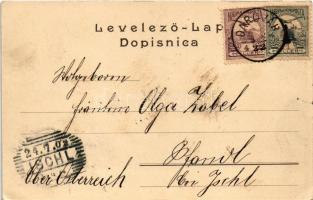 1902 Daruvár, Daruvar; utca, L. J. Jovanovic üzlete. F. Cimic kiadása / street view, shops (EK)