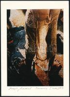 cca 1986 Joseph Kadar (1936) festő- és fotóművész aláírt és pecséttel jelzett, vintage fotóművészeti alkotása (India), 17,5x12,8 cm, karton 21,7x15,5 cm
