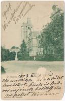 1903 Ókígyós, Szabadkígyós; Wenckheim kastély. Seefehlner J.L. kiadása (ázott / wet damage)