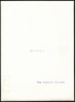 1977 Kabáczy Szilárd székesfehérvári fotóriporter és fotóművész hagyatékából, pecséttel jelzett vint...