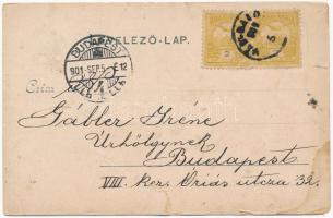 1901 Várpalota, vár. Alpár fényképész kiadása  (b)