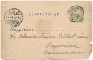 1902 Mezőhegyes, Római katolikus templom (b)