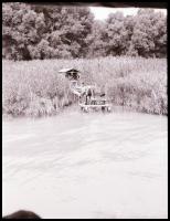 cca 1985 Balatoni vitorlások, fürdőzők, vízi élet, Magyar Alfréd budapesti fotóművész felvételei, 68...