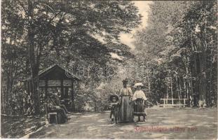 1911 Gyertyánliget, Polyana-Gyertyánliget, Kabola Polyána, Kobyletska Poliana (Máramaros); sétány park / promenade park (Rb)