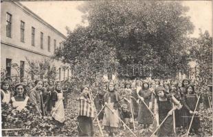 Temesvár, Timisoara; Iskola Nővérek Intézete, Józsefváros, gazdaság, kerti munkát végző lányok / Iosefin, girl school, students doing garden work (képeslapfüzetből / from postcard booklet)