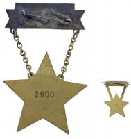 ~1950. "Szakma Kiváló Műszaki Dolgozója - Gépipar" Rákosi-címeres zománcozott és aranyozot...