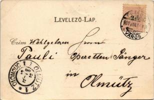 1900 Pozsony, Pressburg, Bratislava; vár, gőzhajó / castle, steamship. Edgar Schmidt litho