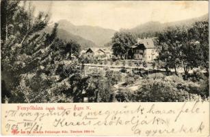 1905 Fenyőháza, Lubochna; észak felé, nyaraló. Feitzinger Ede 656. Ps. Teschen 1904-14. / gegen N. / general view, villa (EK)