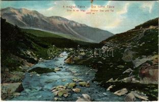 1906 Tátra, Magas-Tátra, Vysoké Tatry; Zöld-tó és völgy. Dr. Trenkler Co. 1906. Tát 43. / Grüner See und Tal / Zelené pleso / valley, lake (vágott / cut)