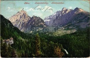 1907 Tátra, Magas-Tátra, Vysoké Tatry; Tarpatak-völgy. Cattarino S. utóda Földes Samu kiadása 217. sz. / Kohlbachtal / valley (EK)