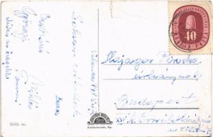 Velence, tó, Meszlényi kastély (szakadás / tear)