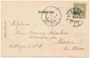 1901 Arad, látkép madártávlatból, lóvasút, üzletek. Szecessziós litho keret lóherével, Réthy L. és F...