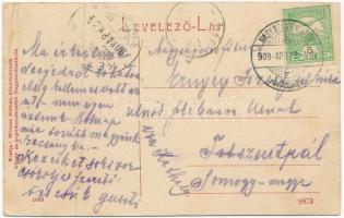1908 Nagyszentmiklós, Sannicolau Mare; Gróf Nákó Sándor kastély. Wiener Náthán kiadása. W.L. (?) 108...