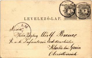1899 Brassó, Kronstadt, Brasov; látkép. Verlag v. H. Zeidner / general view (EK)