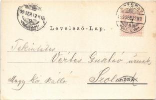 1899 (Vorläufer) Pozsony, Pressburg, Bratislava; Üdvözlet a Pozsonyi helyi ipar kiállításról! Udvork...