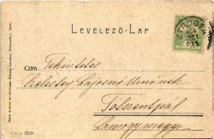 1904 Petrozsény, Petrosani; vasútállomás. Herz Arnold és Grausam Károly kiadása / railway station (s...