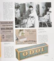Gyáni Gábor: Hétköznapi élet Horthy Miklós korában. Mindennapi Történelem. Bp.,2006,Corvina. Gazdag ...