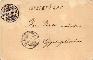 1899 Coeur Dame. Art Nouveau lady with hearts, unsigned Raphael Kirchner litho (felületi sérülés / s...