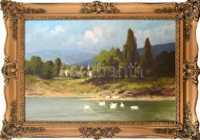 Olvashatatlan jelzéssel: Vízparti táj (Balaton?). Olaj, vászon. Dekoratív, historizáló stílusú keret...