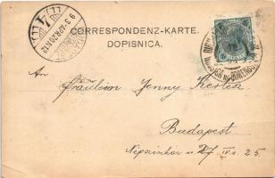 1903 Hrusica pri Jesenice, Birnbaum bei Assling; Ober Krain / Gorenjsko / Upper Carniola (EK)