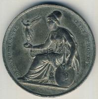 Ausztria 1873. "Világkiállítás" ffém emlékérem T:2/3+