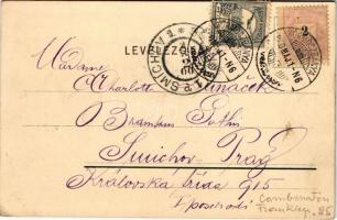 1900 Art Nouveau lady art postcard. Floral, litho (EK)