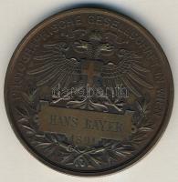 Ausztria 1891. "Fényképészet Bécsben" dekoratív Br emlékérem. Szign.Schwenzer T:2