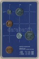 Hollandia 1982. 5c-2 1/2G (5xklf) forgalmi sor műanyag tokban, pénzverdei zsetonnal T:1  Netherlands 1982. 5 Cent - 2 1/2 Gulden (5xdiff) coin set in plastic case and Coin Mint jeton C:UNC