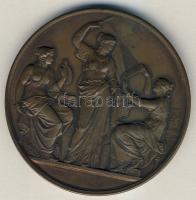 Ausztria 1891. "Fényképészet Bécsben" dekoratív Br emlékérem. Szign.Schwenzer T:2