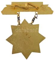 1960. "Erdészet Kiváló Dolgozója" aranyozott és zománcozott kitüntetés eredeti tokban, vis...