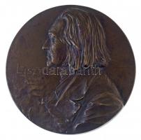 Ausztria(?) DN Liszt egyoldalas Br emlékérem. Szign: Franz Stiasny (89mm) T:1-,2  Austria(?) ND Liszt one-sided Br commemorative medallion. Sign.: Franz Stiasny (89mm) C:AU,XF