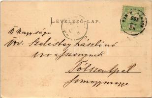 1906 Zalaszántó, Tátika várrom kirándulókkal, Kisfaludy Sándor versével. Kiadja Mérei Ignác 40. sz. ...