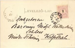 1899 Szabadkígyós, Kígyós (Békés); Wenckheim-kastély. Véver Oszkár kiadása