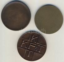3db klf Br emlékérem DN "Tudományos Ismeretterjesztő Társulat" + "Gyógyszerkutató Int...