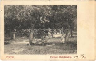 1909 Budakeszi, Virágvölgy. Prökl József kiadása