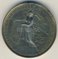 Franciaország 1867. "Párizsi Világkiállítás" ffém emlékérem T:3
