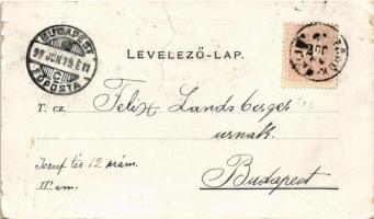 1899 Törökbálint, vasútállomás, gőzmozdony, vonat, látkép, kaszinó, zárda. Budovinsky fényképész. Ar...