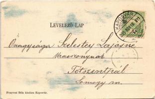 1905 Kaposvár, Korona utca, Korona gyógyszertár, Stern búttorraktára, Gerő Zsigmond üzlete. Fenyvesi...