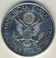 DN "Amerikai Nagykövetség-Budapest" nagyalakú ffém emlékérem T:2