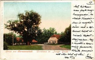 1900 Nagyszeben, Hermannstadt, Sibiu; Wirtshaus im Jungen Walde. G.A. Seraphin / Erdei vendéglő / Restaurant in Padurea Dumbrava (EK)