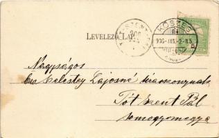 1906 Kőszeg, Güns; Árpád tér, Erdő utca sarok, Adler üzlete. Nussbaum N. Ferenc kiadása (EK)