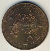 1990. "Ferencvárosi Torna Club" Br emlékérem T:2