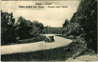 1931 Zilah, Zalau; Meszes hegyi részlet, autó / Vedere partiala depe Meses, automobile
